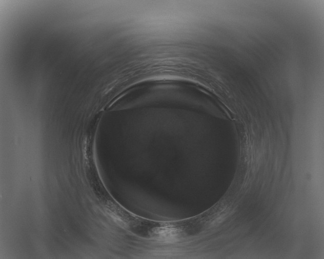 X0000056340219200509021704