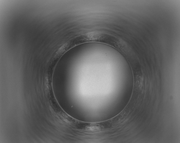 X0000056340220200509021704