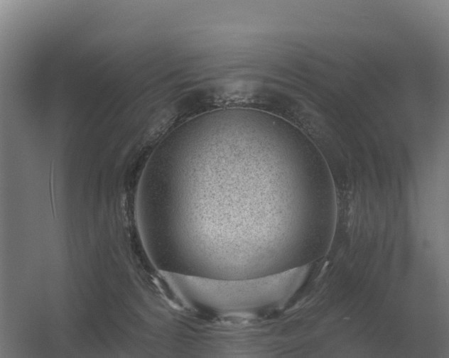 X0000056340224200509021704