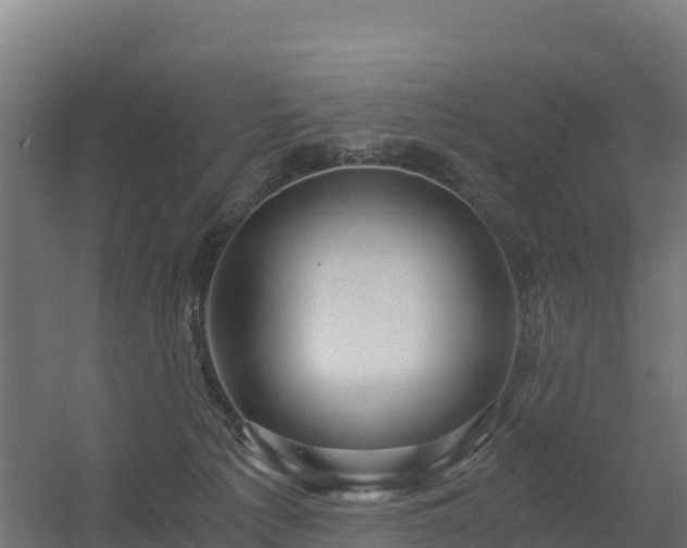 X0000056340225200509021704
