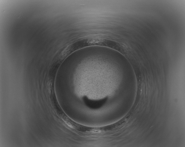 X0000056340227200509021704
