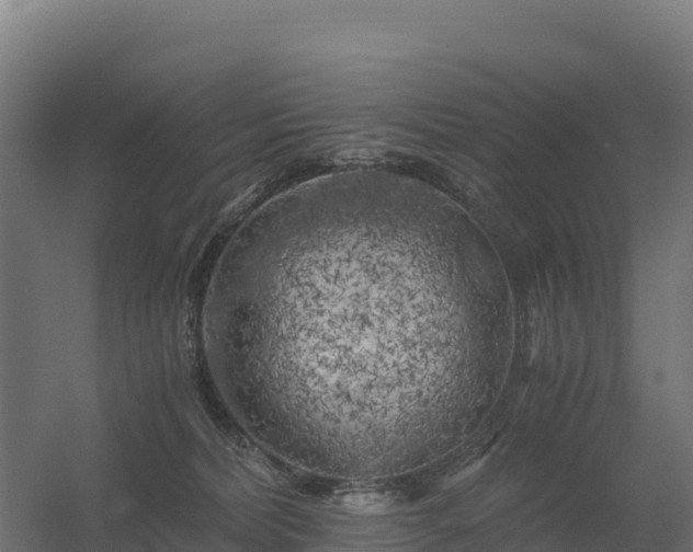 X0000056340228200509021704