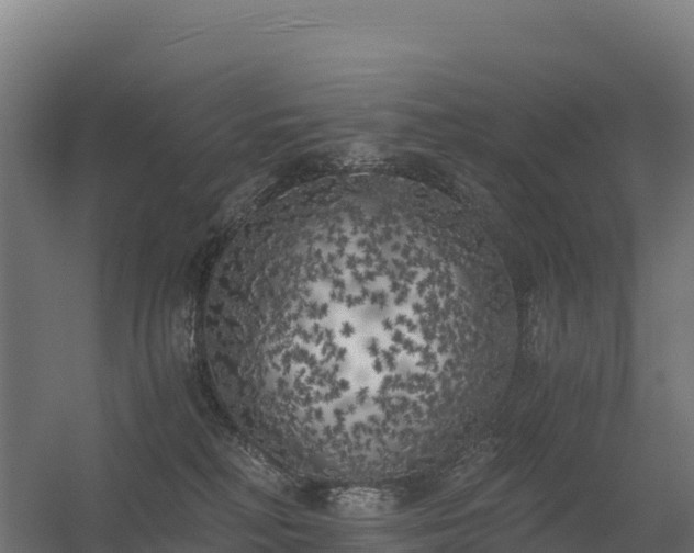 X0000056340230200509021704