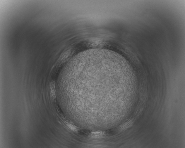 X0000056340240200509021704