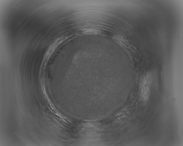 X0000056340241200509021703