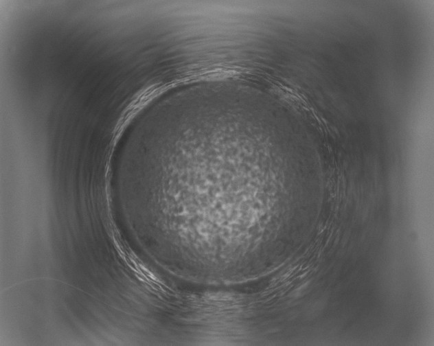 X0000056340242200509021703