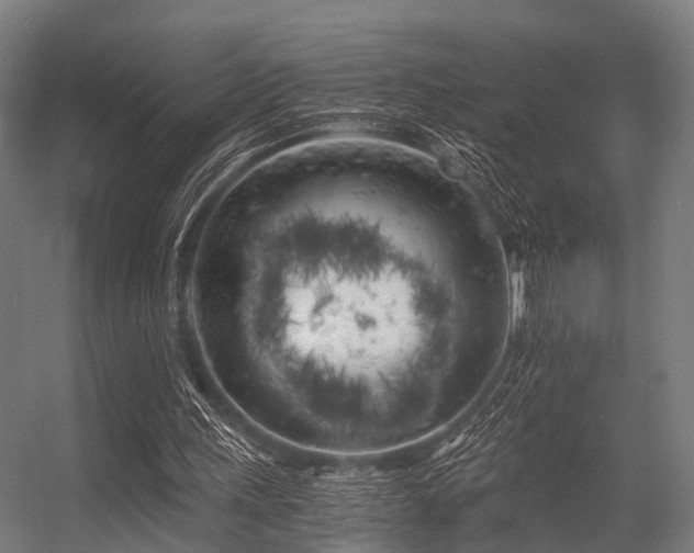 X0000056340243200509021703