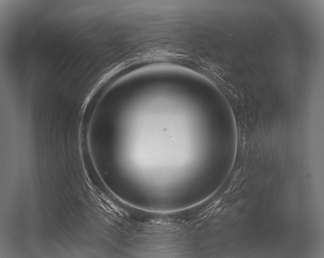 X0000056340244200509021703