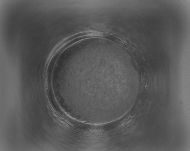 X0000056340247200509021703