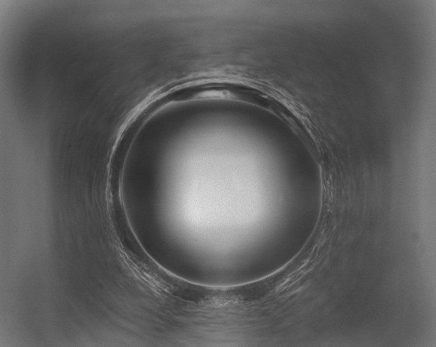 X0000056340248200509021703