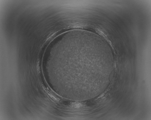 X0000056340249200509021703