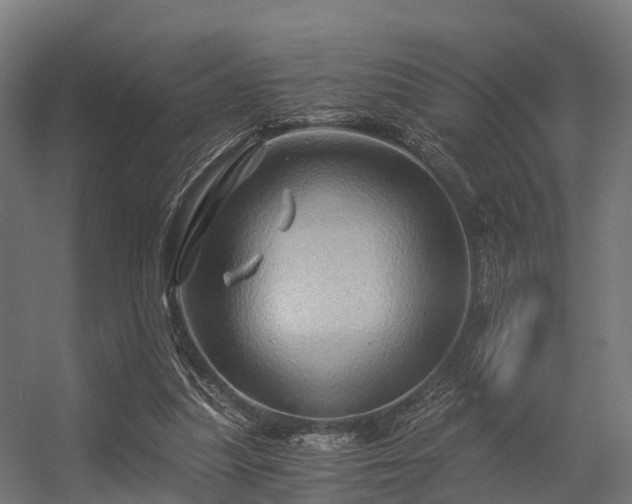 X0000056340251200509021703