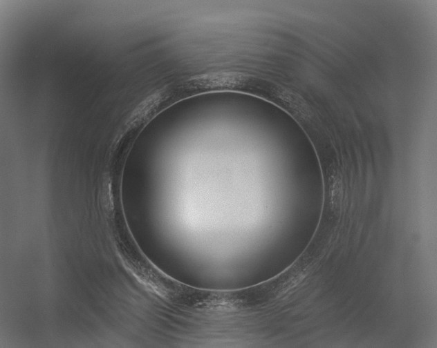 X0000056340254200509021703