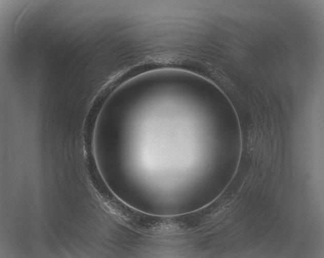 X0000056340256200509021703