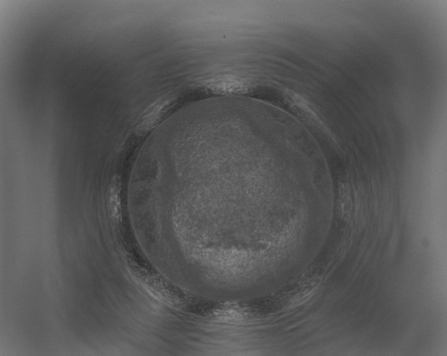 X0000056340259200509021703