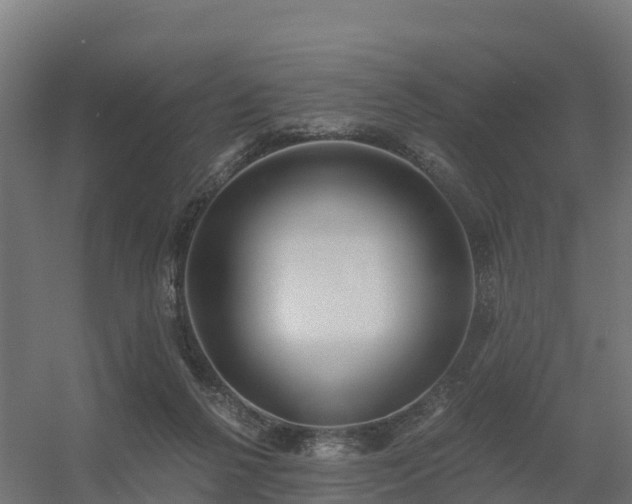 X0000056340264200509021703
