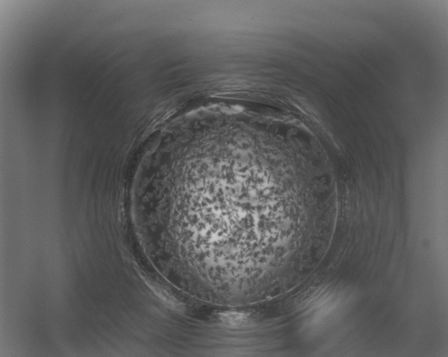 X0000056340265200509021703