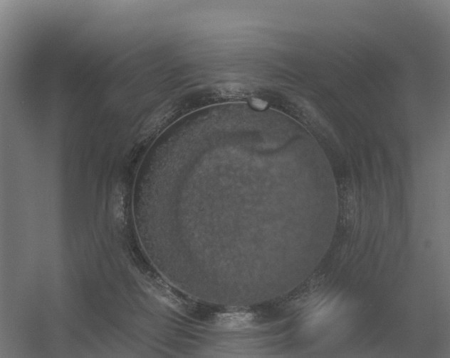 X0000056340266200509021703