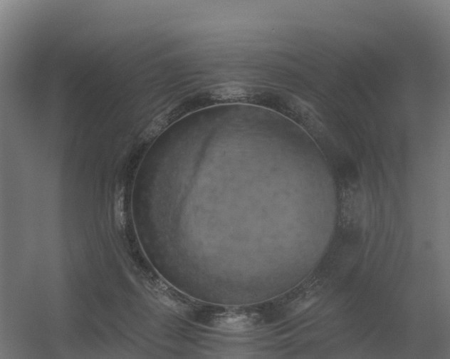 X0000056340267200509021703