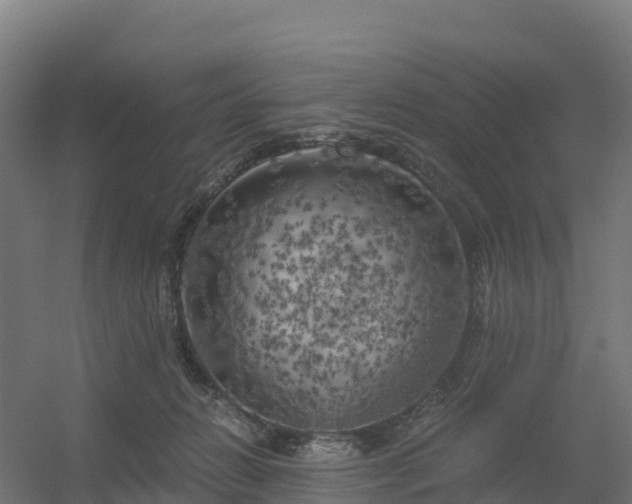 X0000056340270200509021703