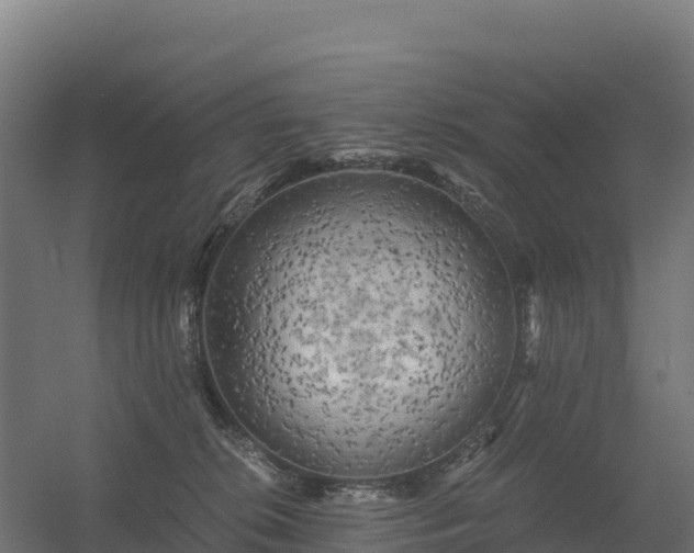 X0000056340276200509021703