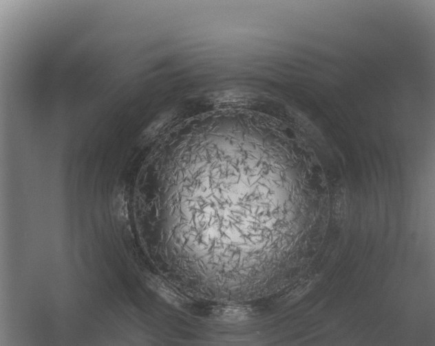 X0000056340282200509021703
