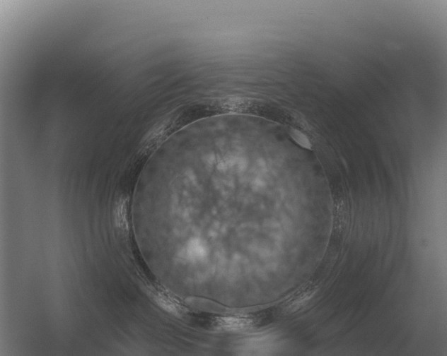 X0000056340286200509021703