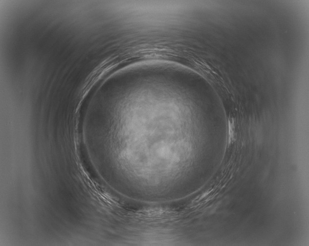 X0000056340291200509021703