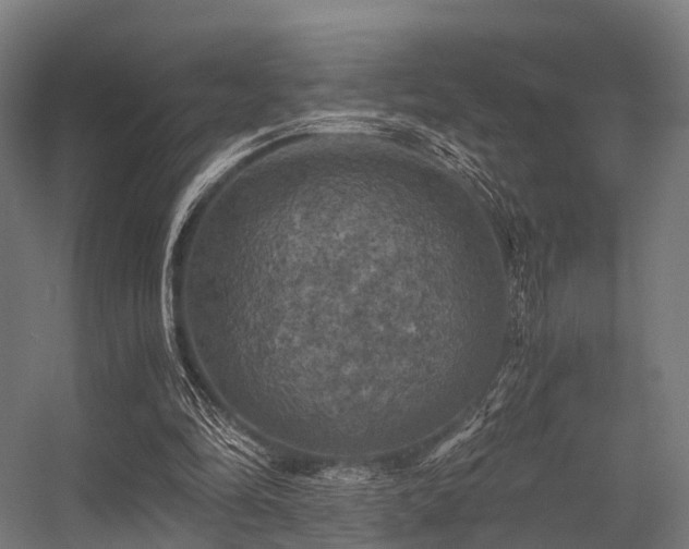 X0000056340294200509021703