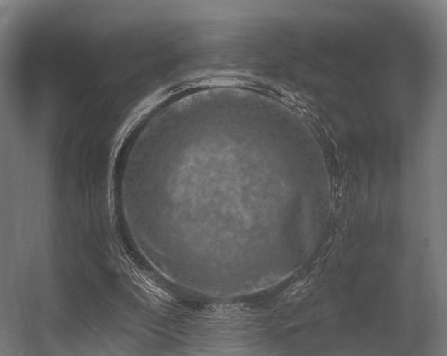 X0000056340296200509021703