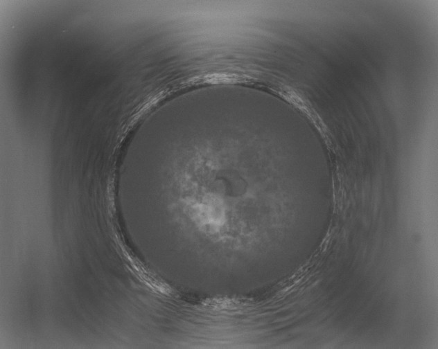 X0000056340297200509021703