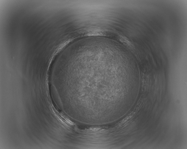 X0000056340298200509021703