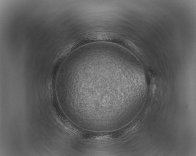 X0000056340306200509021702