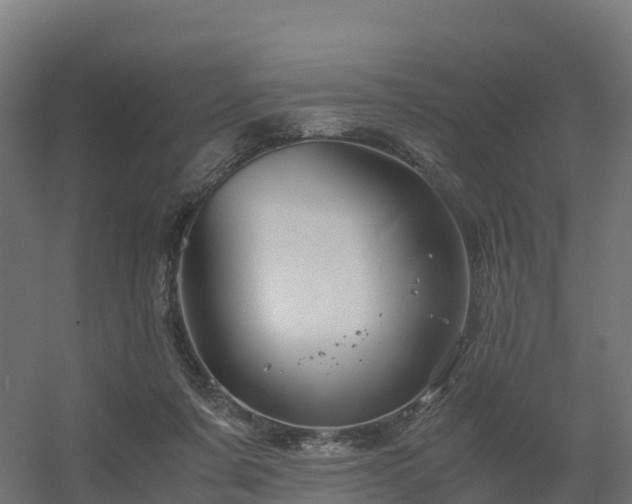 X0000056340311200509021702