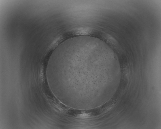 X0000056340312200509021702