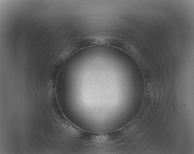 X0000056340318200509021702