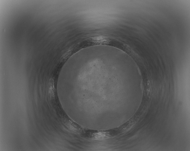 X0000056340320200509021702