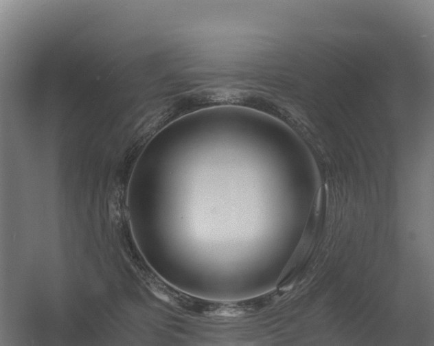 X0000056340325200509021702