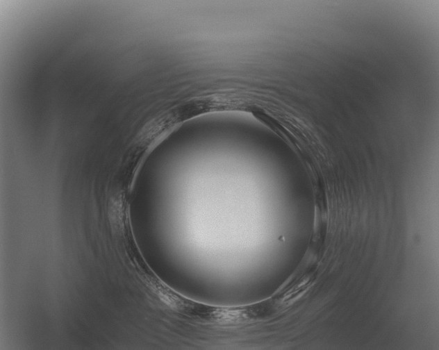X0000056340333200509021702