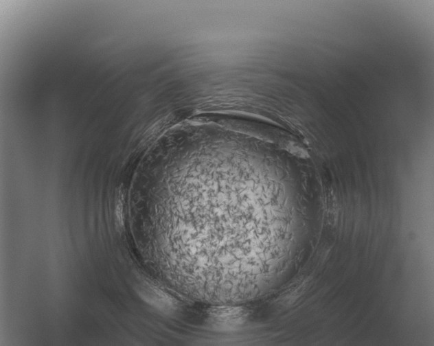 X0000056340334200509021702