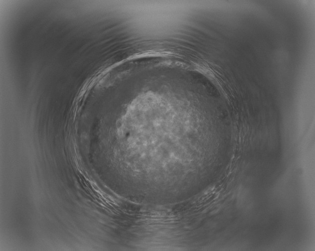 X0000056340337200509021701