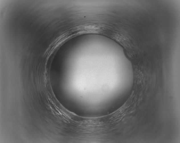 X0000056340338200509021701
