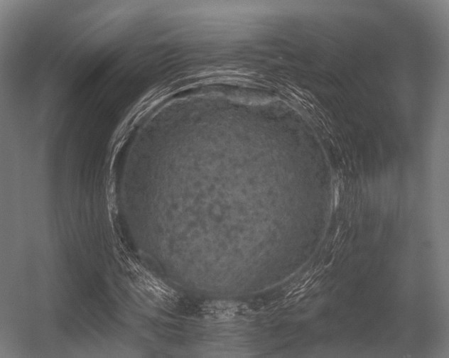 X0000056340339200509021701