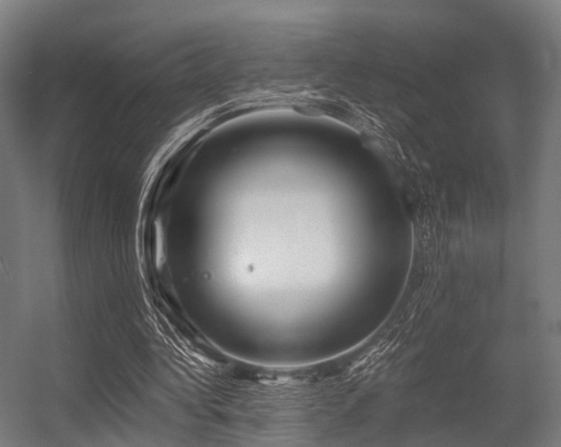X0000056340340200509021701