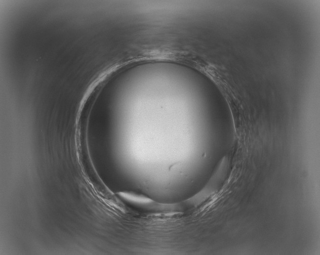 X0000056340342200509021701