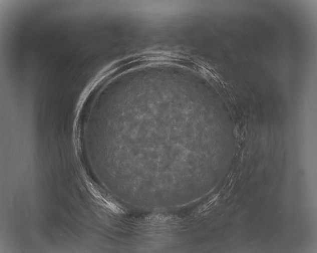 X0000056340343200509021701
