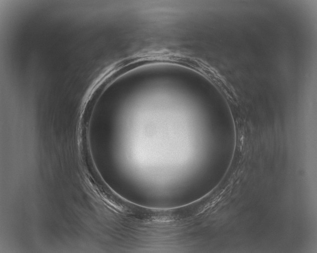 X0000056340344200509021701