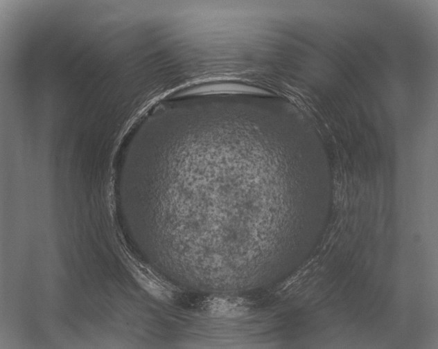 X0000056340346200509021701