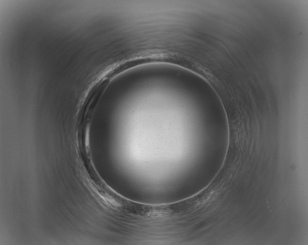 X0000056340350200509021701