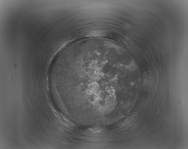 X0000056340351200509021701